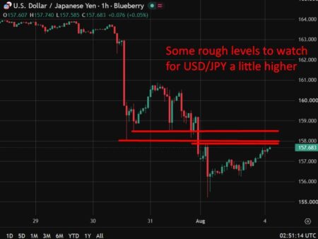 Japan’s Kiuchi declines to name FX level, watching impact closely