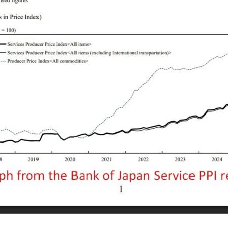 Japan service inflation holds near highs as wage pressures persist