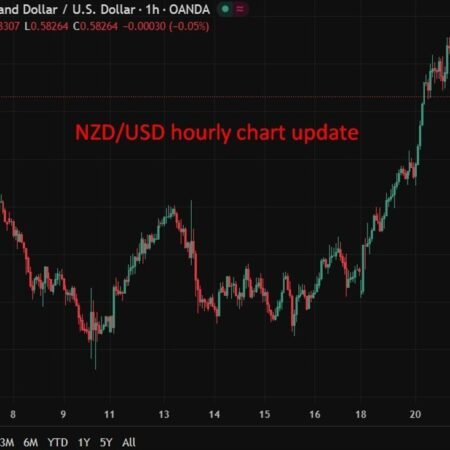 New Zealand’s prime minister Luxon said elections will be held on Saturday November 7