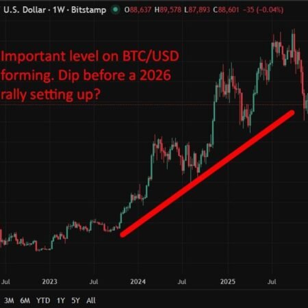 Bitcoin seen back in six figures in 2026 as ETF and tokenisation themes gather pace