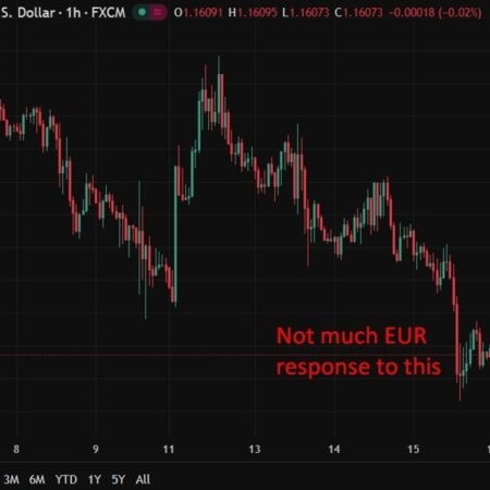 ECB sees no near-term rate debate, Lane says current rates form baseline for years