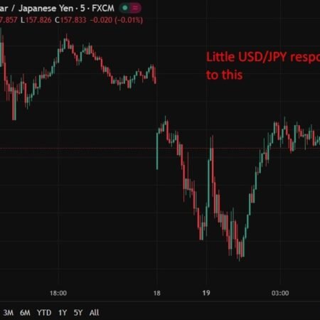 Japan household inflation expectations stay elevated despite slight easing