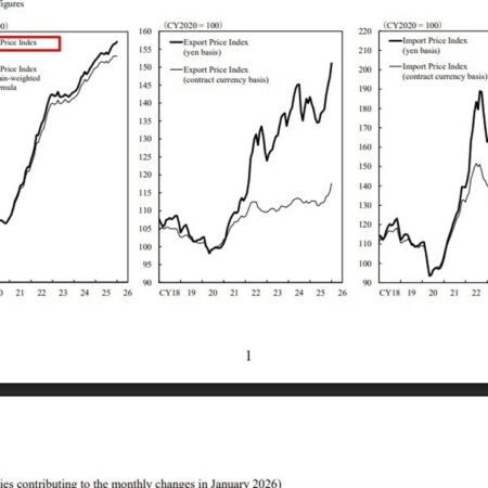 Japan January wholesale inflation slows to 2.3% as import prices rise