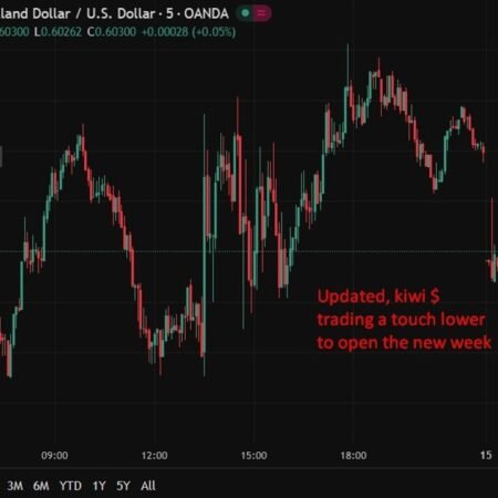 New Zealand January card spending mixed messages
