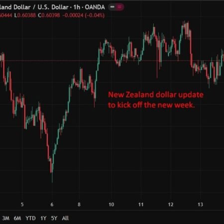 New Zealand services sector expands in January but momentum eases