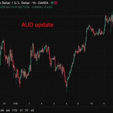 Reserve Bank of Australia Governor Bullock speaking in parliament