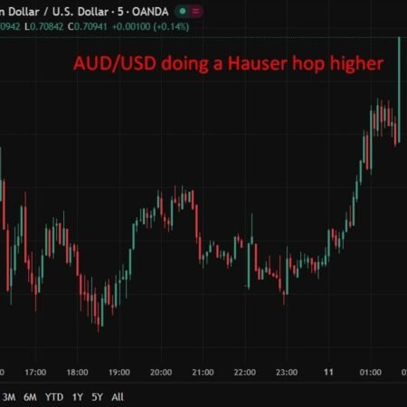 RBA’s Hauser says inflation too high, vows action to return to target. AUD jumps.