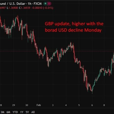 BoE’s Mann says US Trump tariffs are pushing Chinese export prices higher for UK