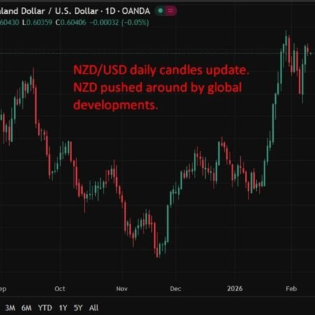 Westpac sees RBNZ holding OCR, nudging first rate hike to December 2026