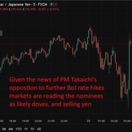 Japan govmt nominates new BOJ board members as rate-hike path comes into focus