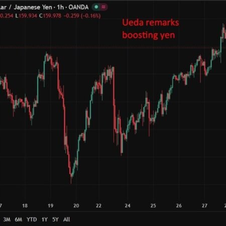 Bank of Japan Governor Ueda says will closely watch FX moves (USD/JPY drops)