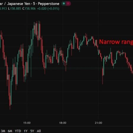 Japan exports beat forecasts but lose momentum from prior surge