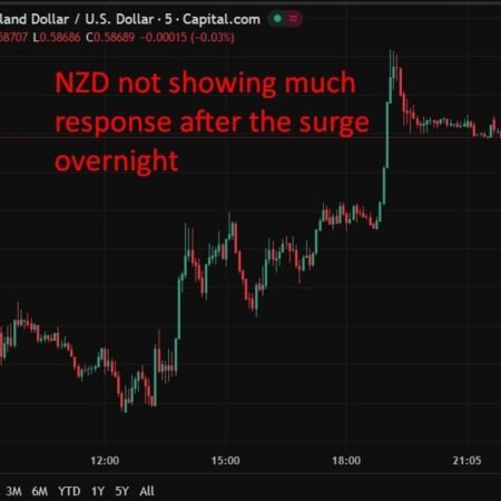 New Zealand February trade deficit narrows, exports and imports both beat expectations