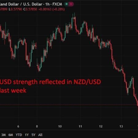 New Zealand services sector falls back into contraction in February