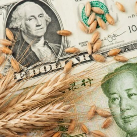 US, China officials reportedly set to meet to lay the groundwork ahead of Trump-Xi summit