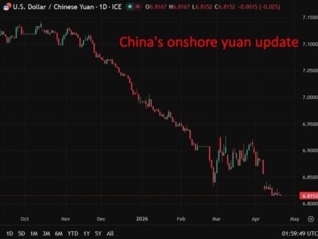 China shows resilience to energy shock but weak demand limits growth outlook, Fitch says