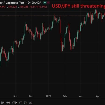 Katayama flags global talks, no new policy signals in her comments