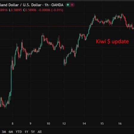 NZ food prices fall, spending slows as RBNZ maintains cautious stance