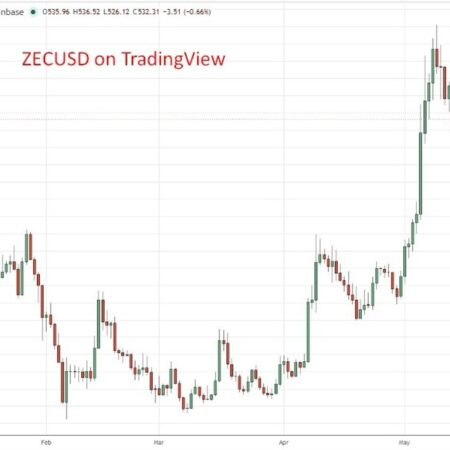 Zcash surges 1,140% in a year as bitcoin pioneers back privacy token