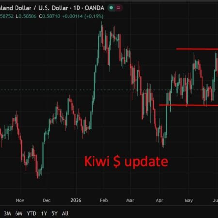 ANZ commodity index rises on tight supply, but NZD gains clip export returns