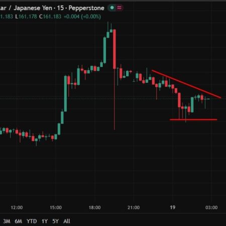 Japan CPI stays muted in May as subsidies mask building inflation pressure