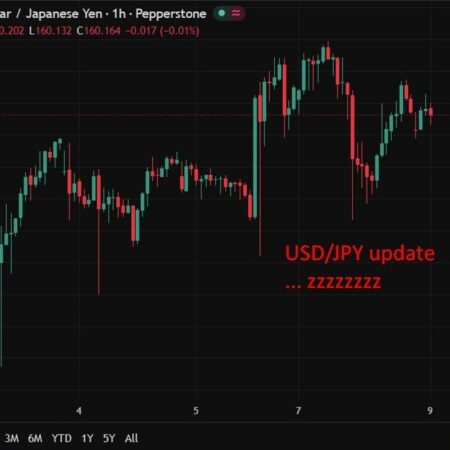 Japan economy minister flags rate rise risks as BOJ decision nears (