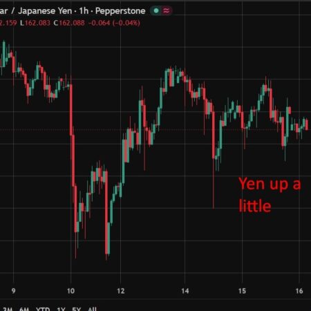 Senior BOJ official: Delay in adjusting rates could lead to economic downturn in future